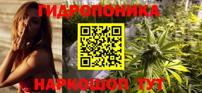 мдпв Ставрополь