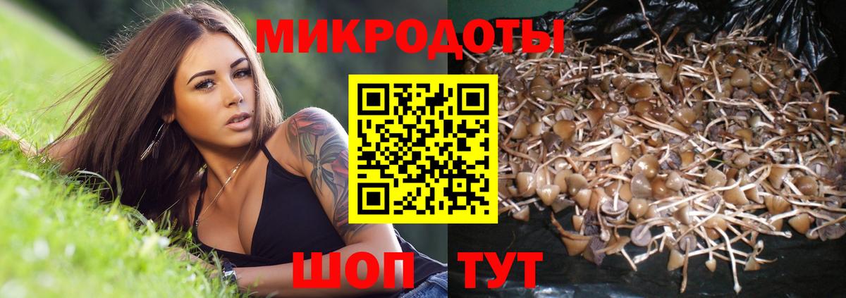 Псилоцибиновые грибы мицелий  Вход с VPN  Новый Уренгой 
